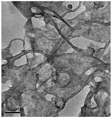 Preparation method for titanium dioxide/carbon nanotube composite nanosheets