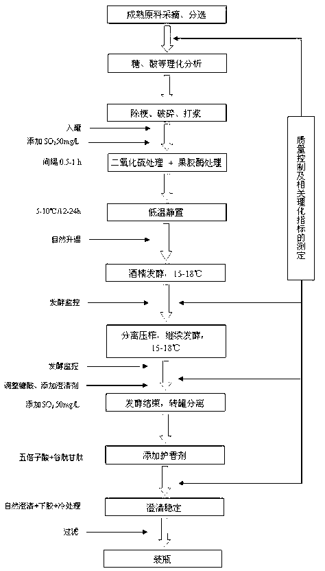 Aroma-enhancing brewing process for grape wines and fruit wines