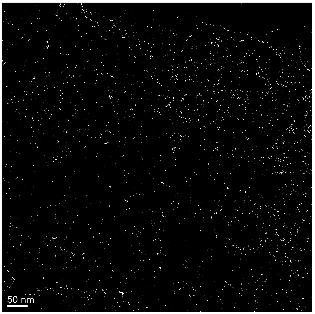 Self support high density metal oxide/nitrogen doped graphene composite electrode, and preparation method and application thereof