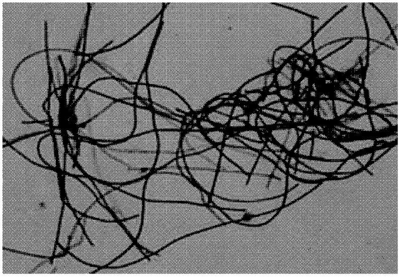 Lysinibacillus sp. Gy32 and application thereof