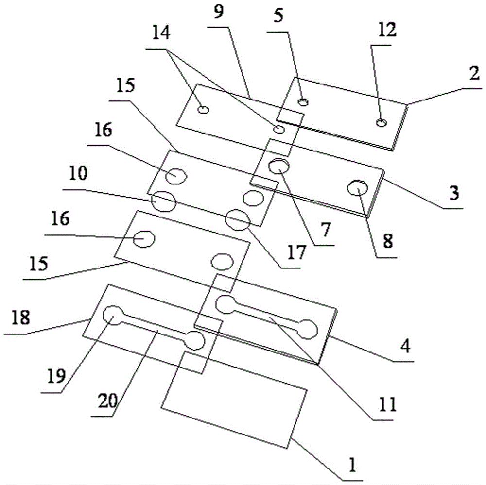 Integrated detection method for separating, enriching and detecting urine exosome as well as detection chip