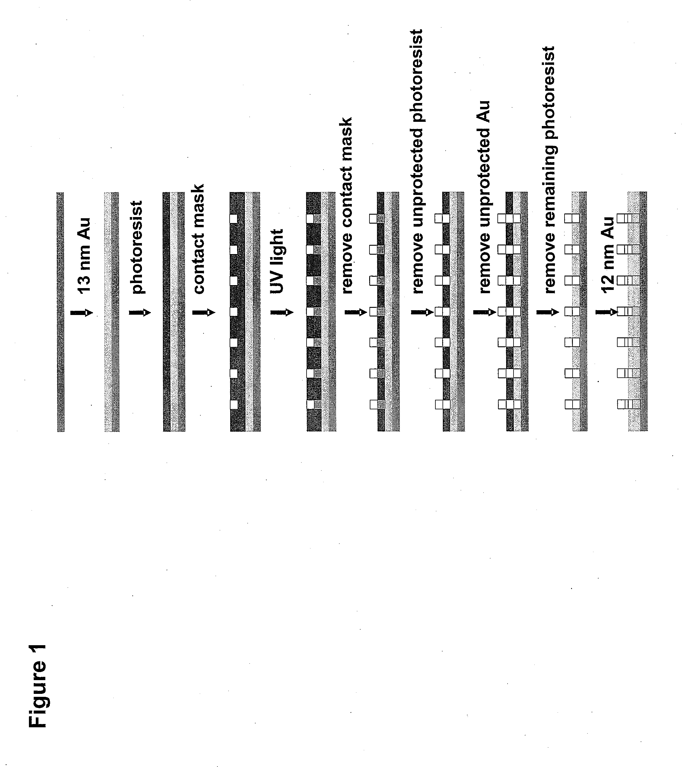 Fiducial Marker for Correlating Images