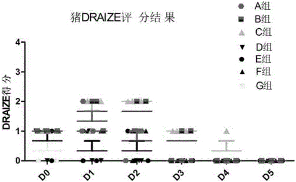 Brucellosis vaccine needle-free injection system and application