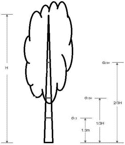 Stumpage growth whole process monitoring method