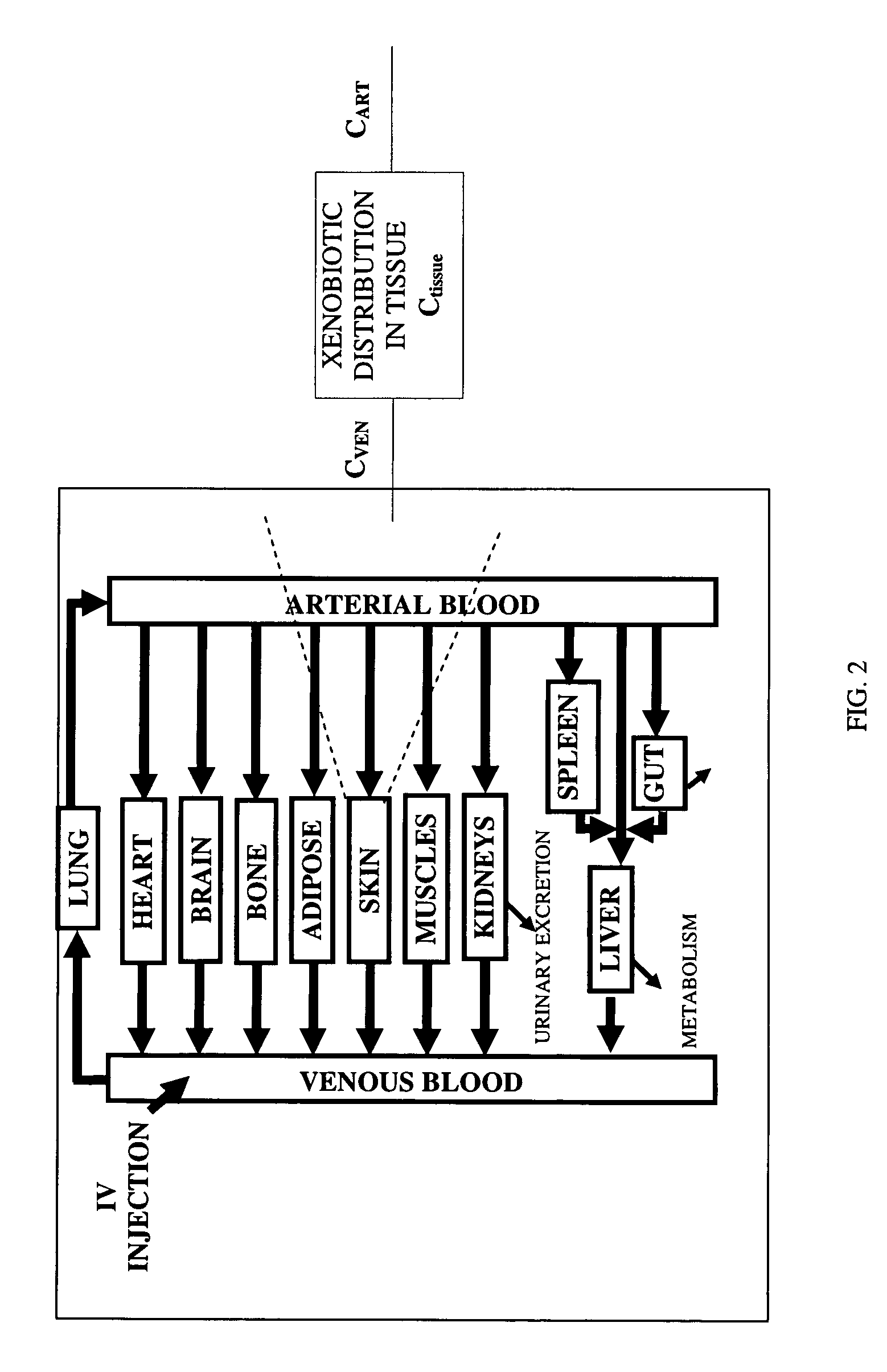 Method of developing a pharmacokinetic profile of a xenobiotic disposition in a mammalian tissue