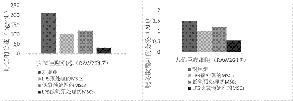 Preparing method and application of anti-chronic inflammation mesenchymal stem cells