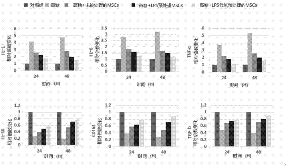 Preparing method and application of anti-chronic inflammation mesenchymal stem cells