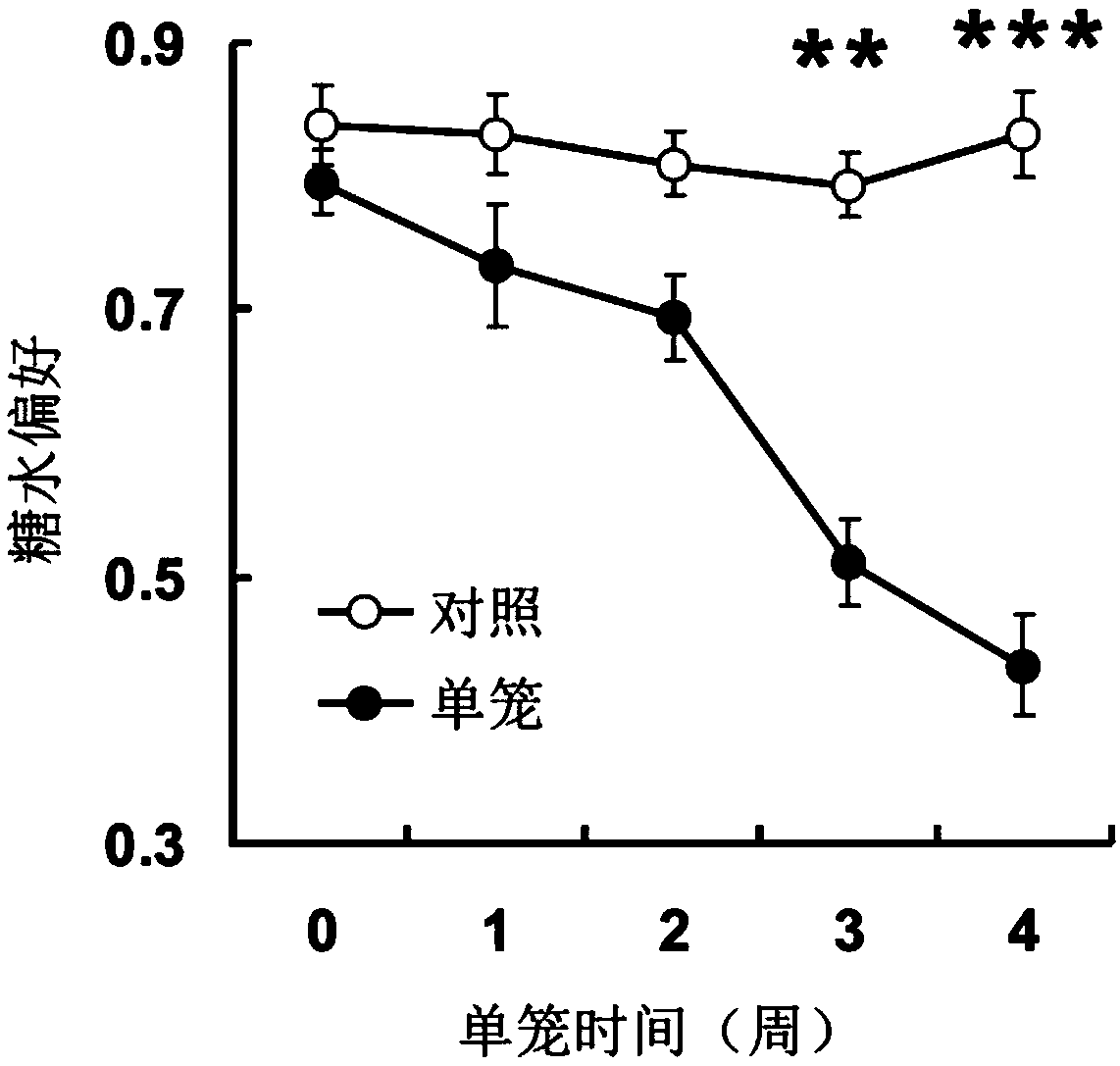 Modeling method of depression animal model of pubescent mouse