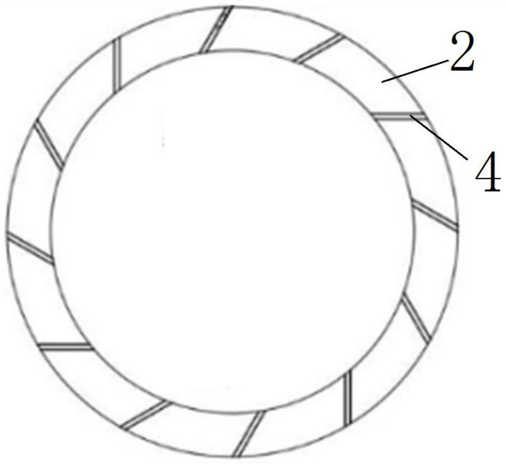 Wafer fixing ring and CMP equipment with same