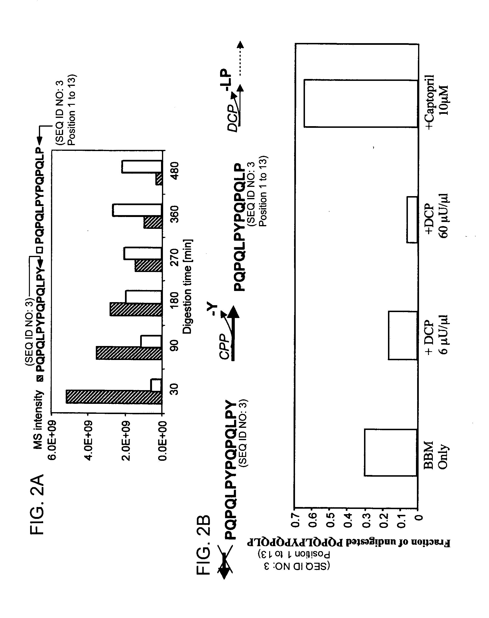 Enzyme treatment of foodstuffs for Celiac Sprue