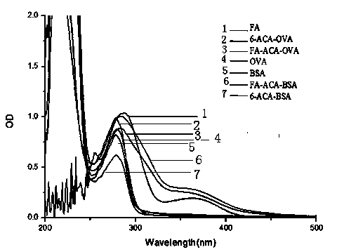 Synthesis method of highly specific folic acid complete antigen and application of folic acid complete antigen