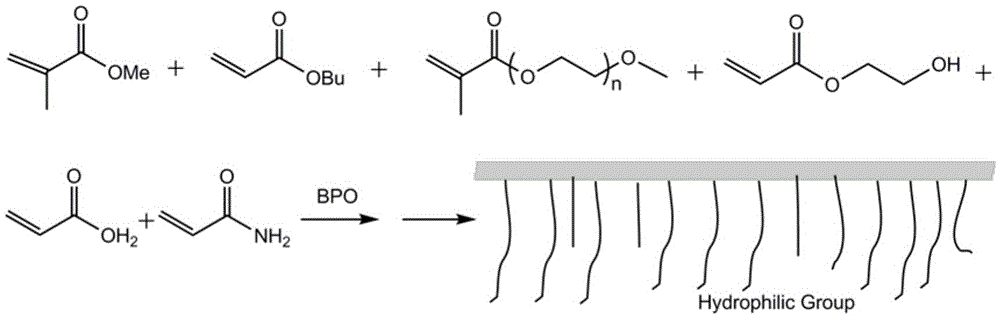 Water-based soft bio-antifouling paint and preparation method thereof