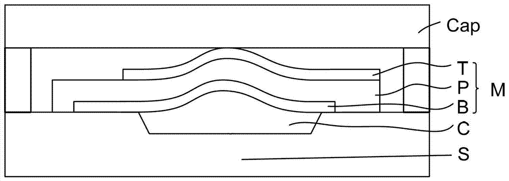 Bulk wave resonator and manufacturing method thereof