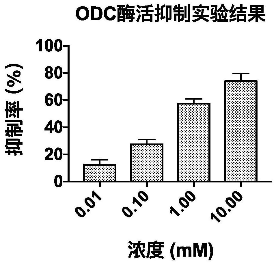 A small molecule inhibitor containing 2,6-dihydroxypurine and its application in inhibiting ornithine decarboxylase (odc)