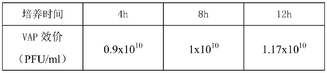 Wide-lytic-spectrum Vibrio alginolyticus phage, composition thereof, kit and application of kit