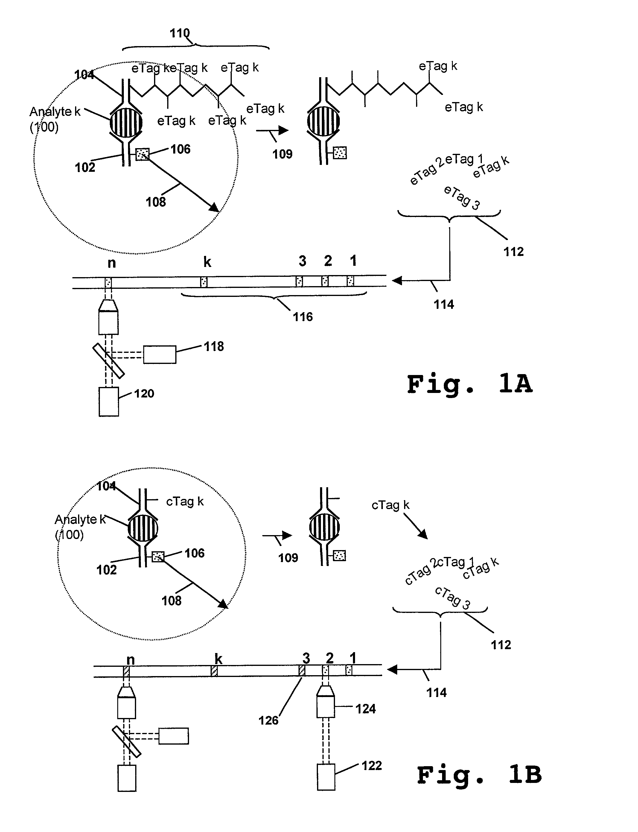 Catalytic amplification of multiplexed assay signals