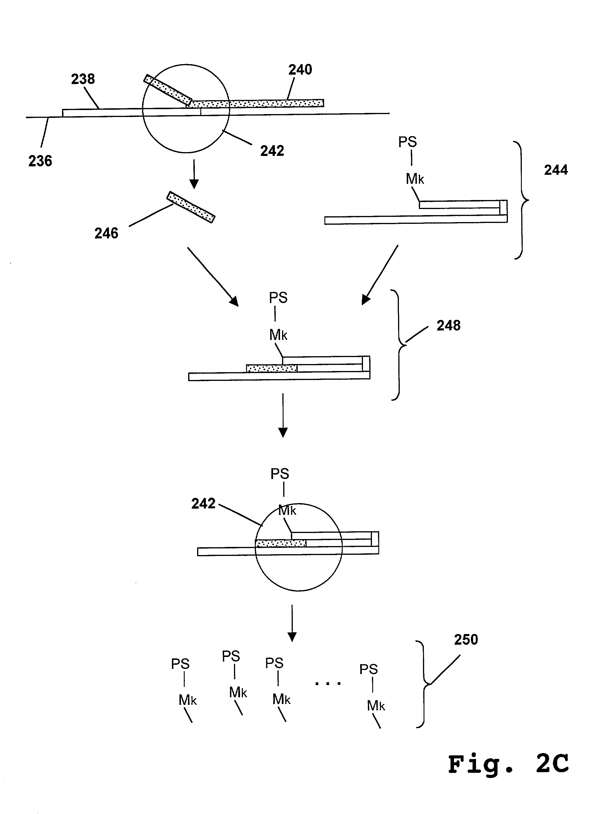 Catalytic amplification of multiplexed assay signals