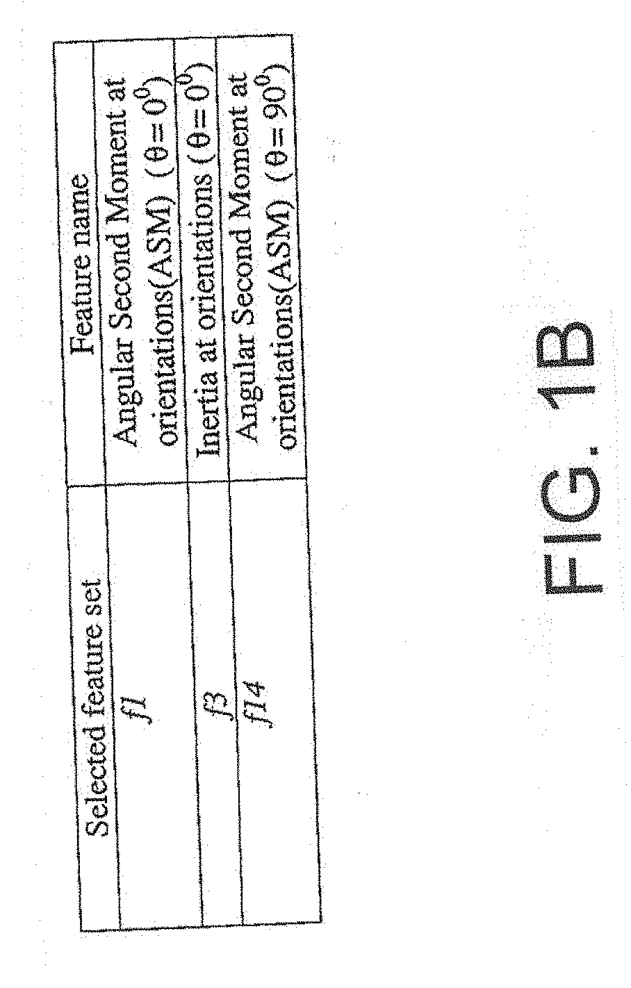 Intravascular Plaque Detection in OCT Images