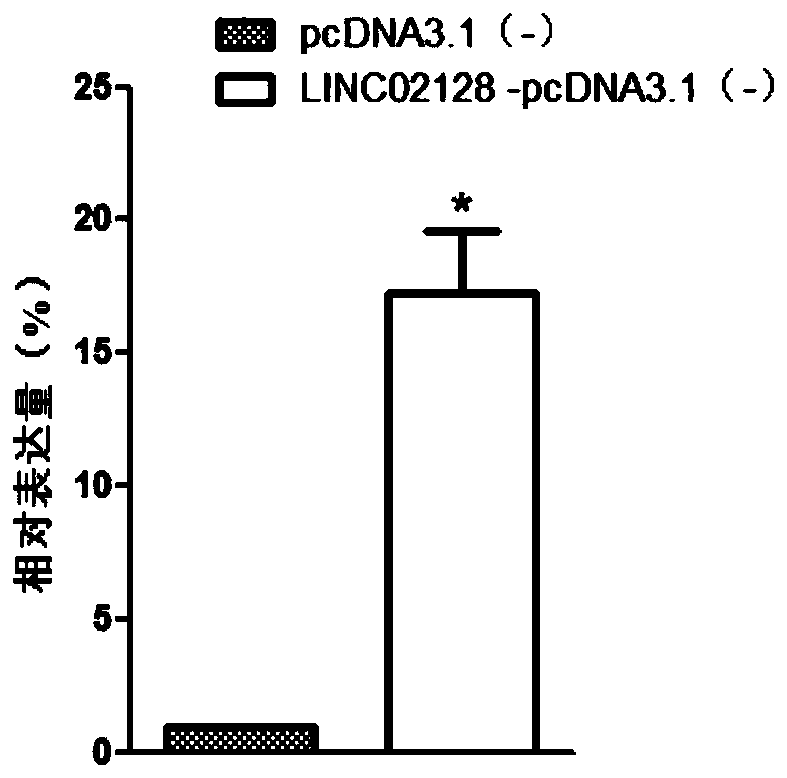 Liver cancer diagnosis and treatment marker, namely LINC02128