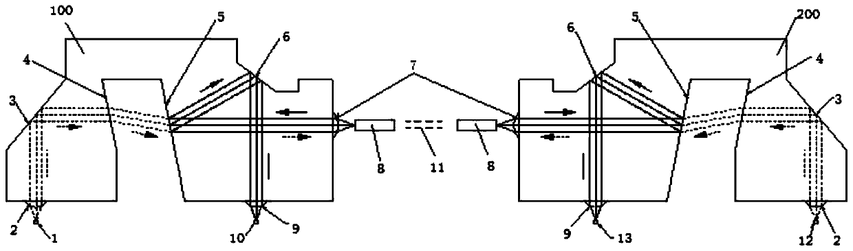 Dual-wavelength multi-channel parallel transmission optical assembly