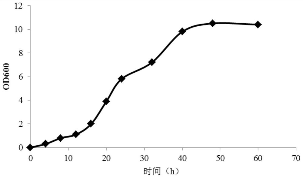 A kind of fermentation method that improves fusothermal bacillus cellulase enzyme activity