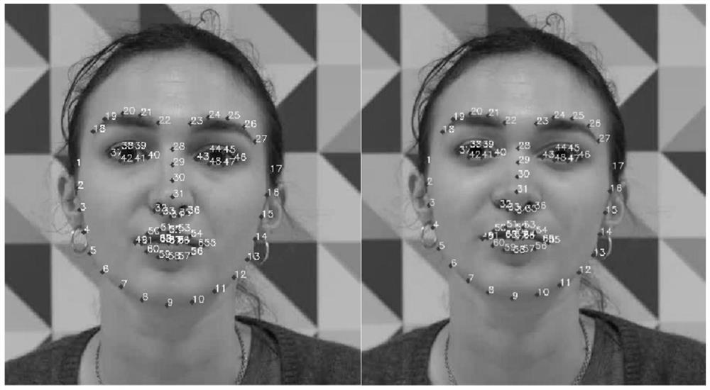 Face-changing video tampering detection method based on face feature time domain stability and application thereof