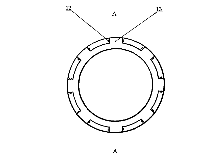 Pressure-bearing contact type shaft seal ring