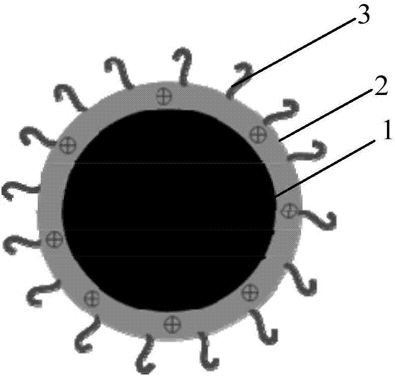 Black phosphorus quantum dot composite material and preparation method and application thereof