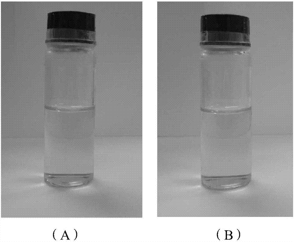 Black phosphorus quantum dot composite material and preparation method and application thereof