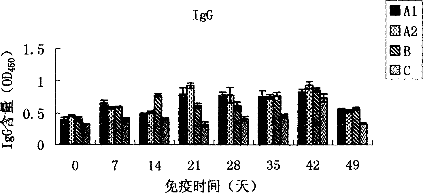 Preparation and application of CpG DNA molecule anti-infection and immunity prepn