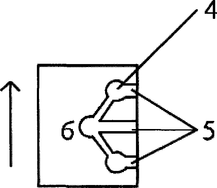 A sole with non-return valve and membrane of hydrohobic and ventilated