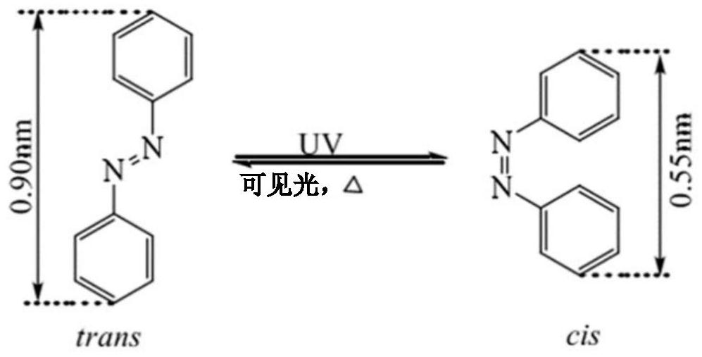 A kind of reactive azobenzene main side chain liquid crystal compound and its preparation method and application