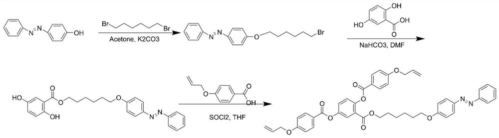 A kind of reactive azobenzene main side chain liquid crystal compound and its preparation method and application