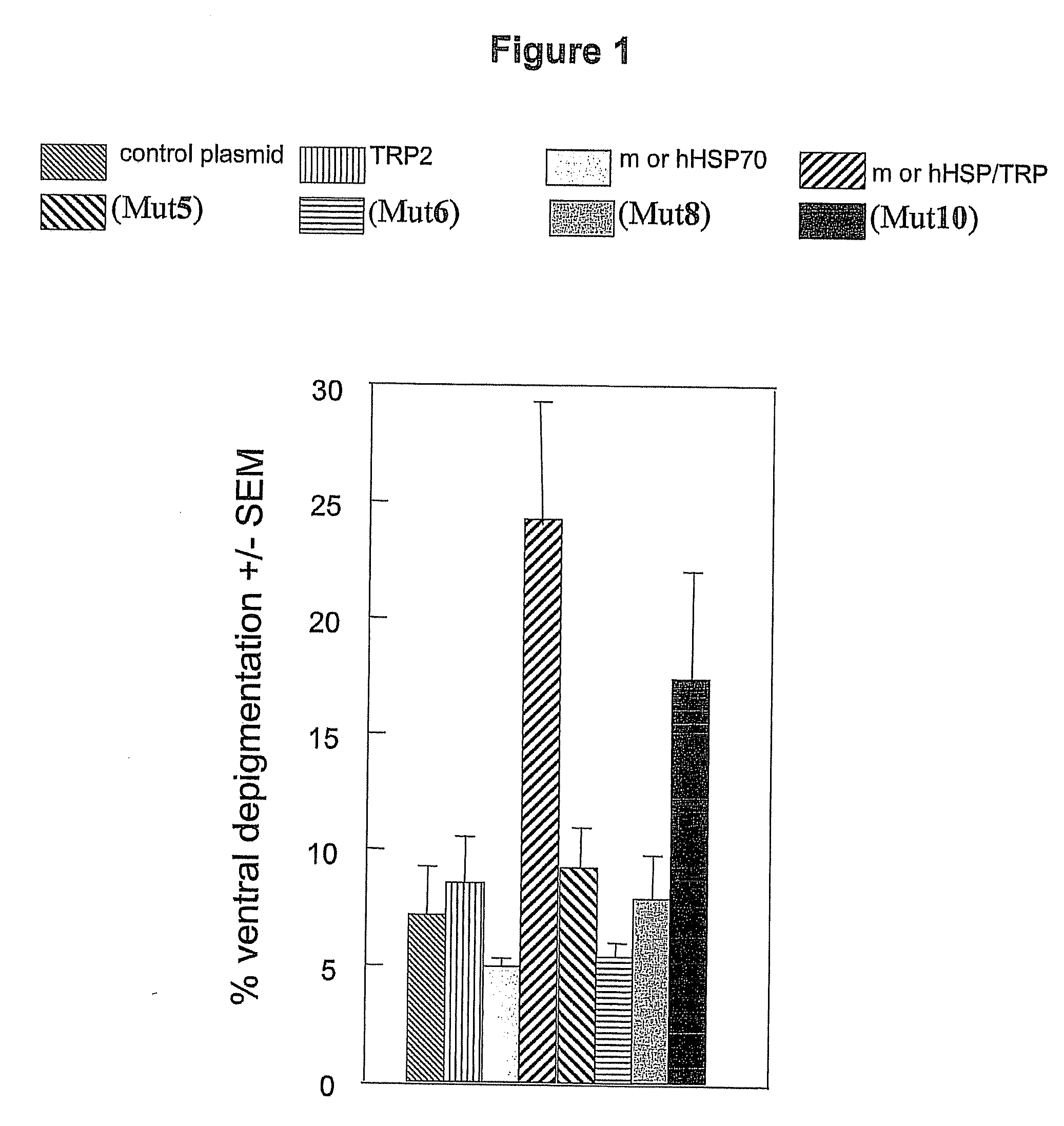 HSP70-Based Treatment for Autoimmune Diseases and Cancer