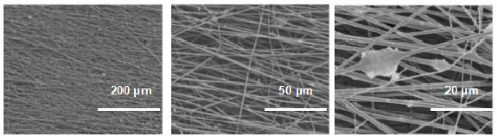 Preparation method of membrane material for solar interface evaporation seawater desalination