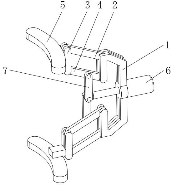 Anti-bite animal husbandry and veterinary medicine feeding device