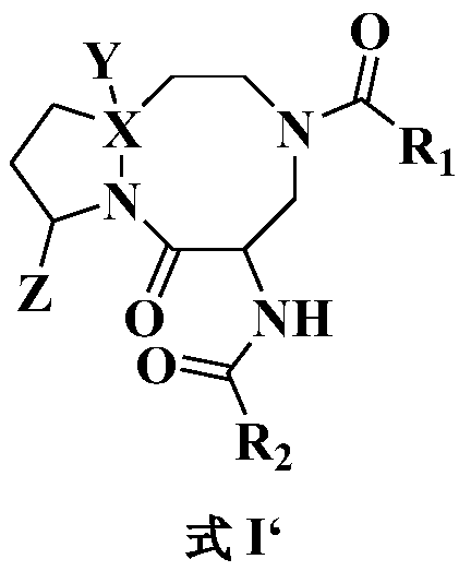 Anti-tumor diazo dicyclic apoptosis protein inhibitor