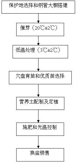 Method for efficiently cultivating ornamental lupin in protected area