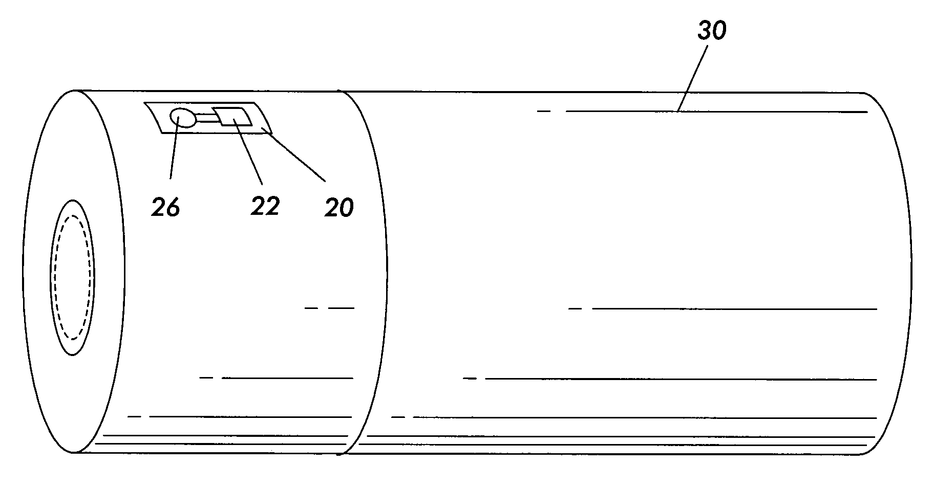 Diagnosis of programmable modules