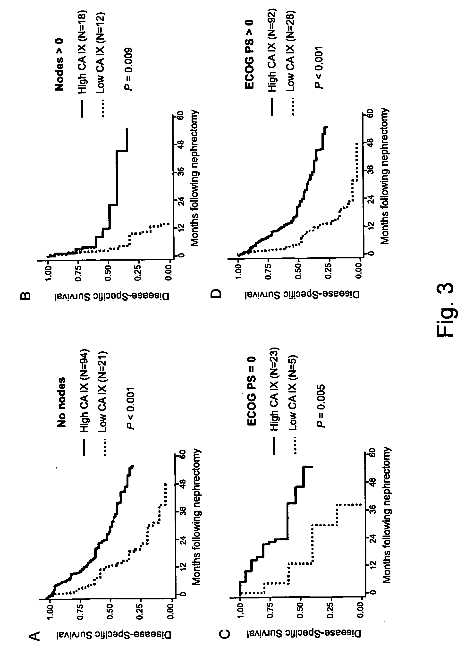 Methods of renal cell carcinoma prognosis and treatment selection with carbonic anhydrase IX