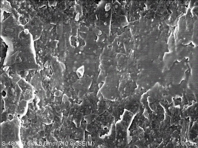 A titanium dioxide-carbon rod microelectrode, its preparation method and its application in detecting the concentration of acetaminophen in blood