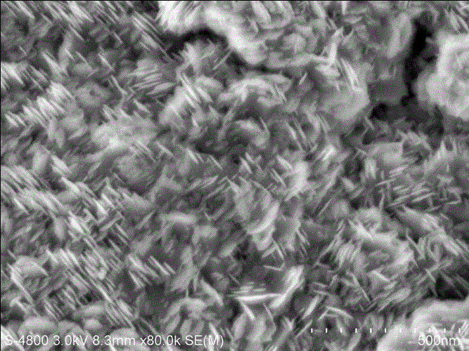 A titanium dioxide-carbon rod microelectrode, its preparation method and its application in detecting the concentration of acetaminophen in blood