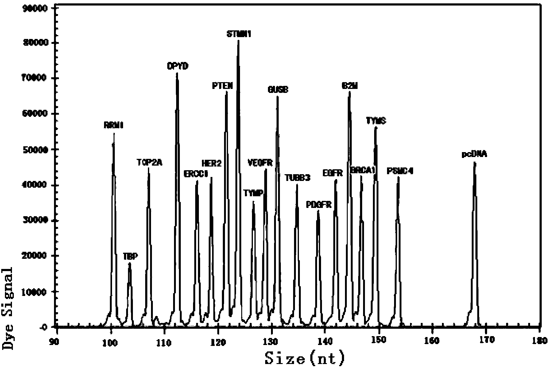 Kit for synchronously detecting related gene expression level of 14 antitumor drugs by using paraffin embedding biopsy sample, and detection method thereof