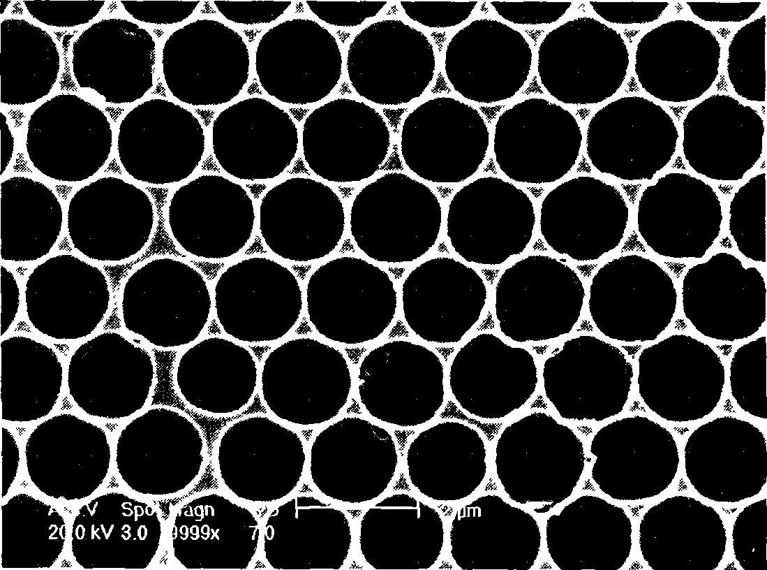 Preparation of submicron/micron micro lens array on polymer surface