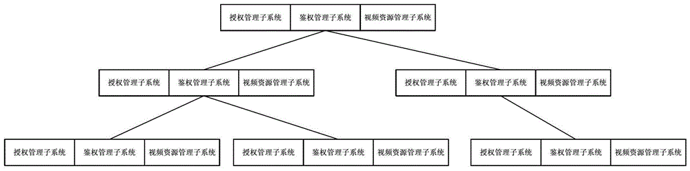 Authorization management system and method for intelligent video analysis service