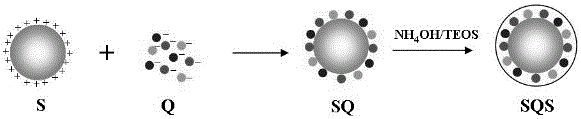 Photonic crystal assembled by fluorescent microspheres and preparation method and application thereof