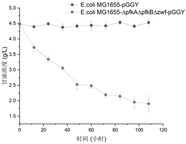 Escherichia coli engineering bacteria and fermentation production method of n-acetylglucosamine