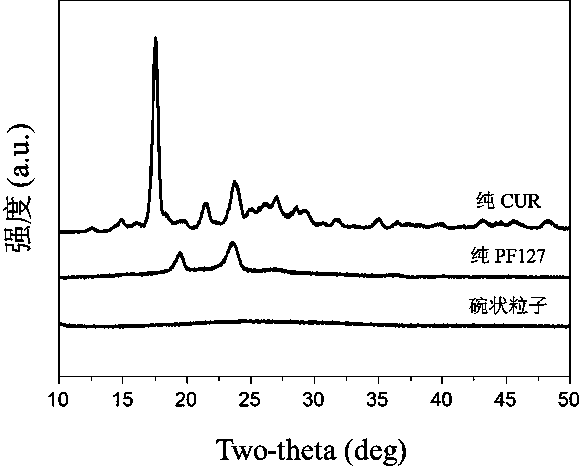 Preparation method and application of novel medicine-carrying bowl-shaped particle