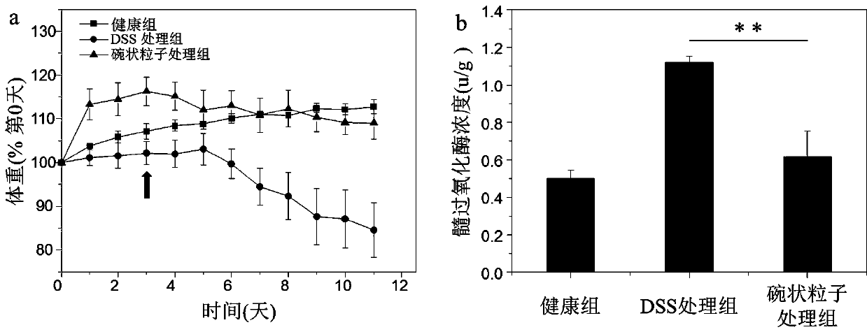 Preparation method and application of novel medicine-carrying bowl-shaped particle