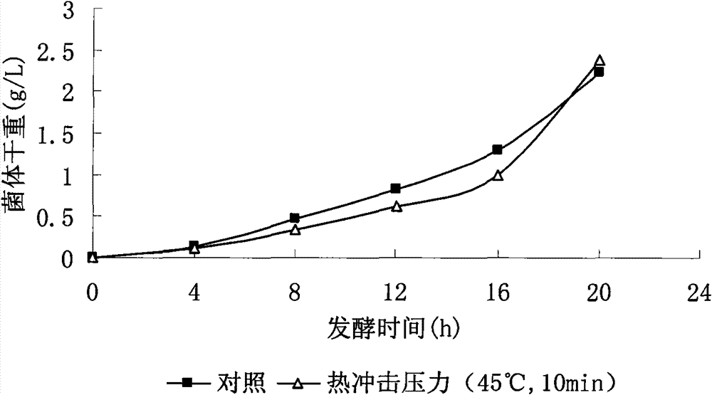 Method for enhancing yield of bacillus fermentation poly-gamma-glutamate by utilizing environmental pressure